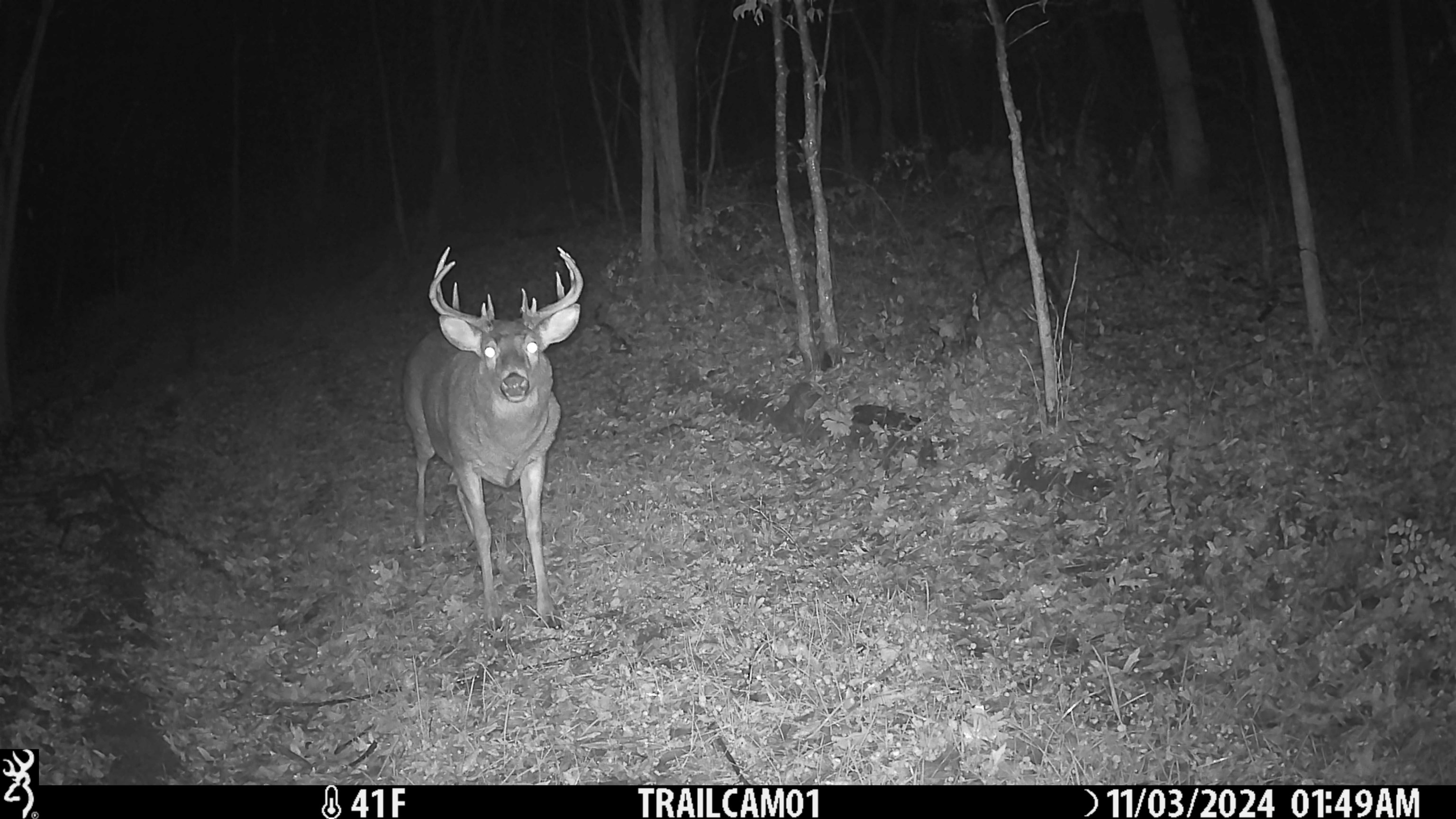 23958 Brown Ridge Road Boscobel, WI 53805 - Photo 85 of 90