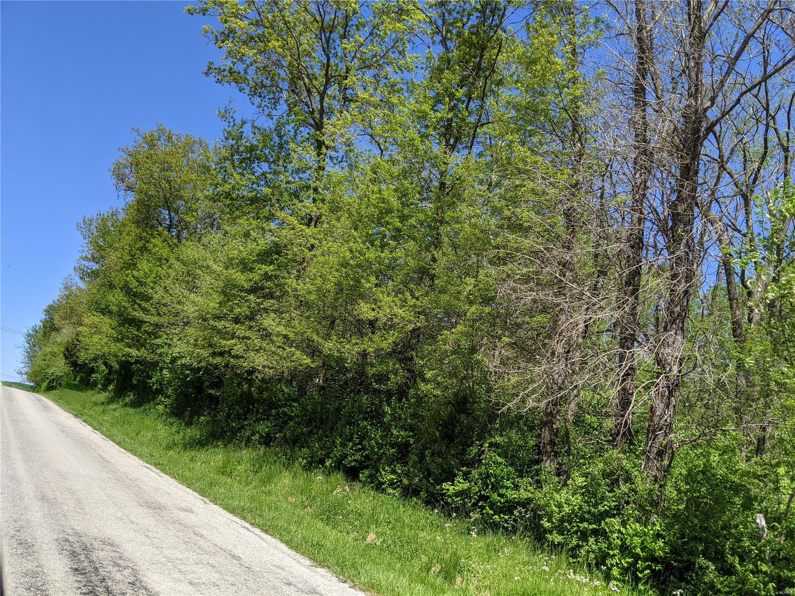 0 Holcomb School Road Freeburg, IL 62243 - Photo 1 of 5