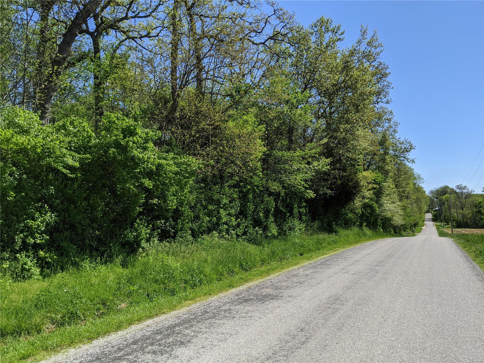 0 Holcomb School Road Freeburg, IL 62243 - Photo 2 of 5