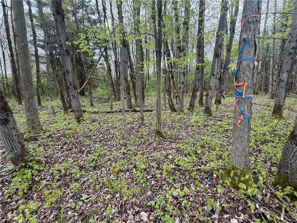 Caswell Road Freeville, NY 13068 - Photo 20 of 47