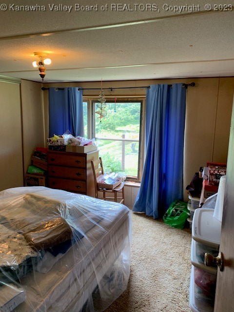 Tbd Windy Run Road Sutton, WV 26601 - Photo 31 of 33 Gallery Image 31
