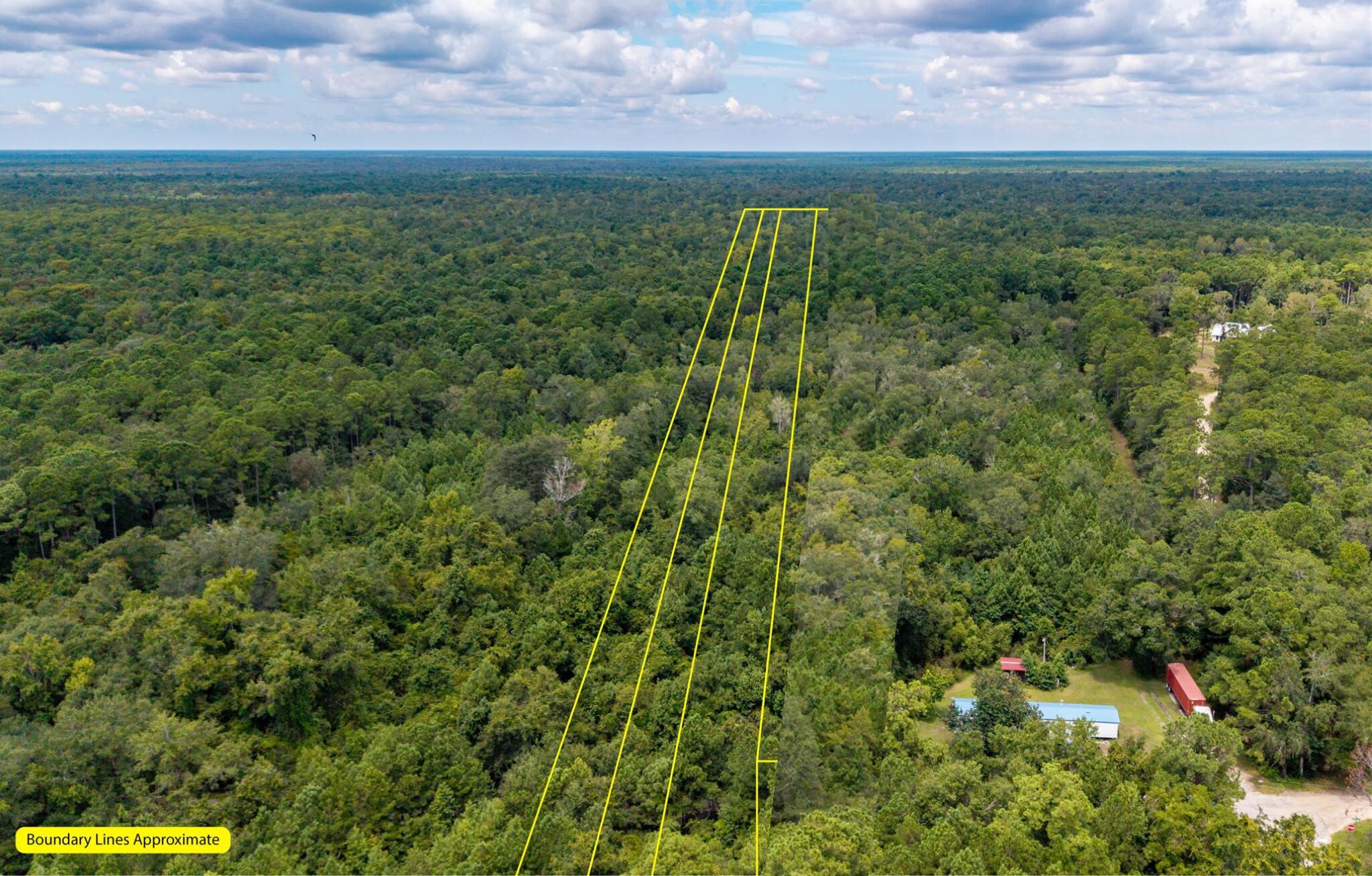 0 North Highway 17 McClellanville, SC 29458 - Photo 26 of 31 View from Old Georgetown Rd