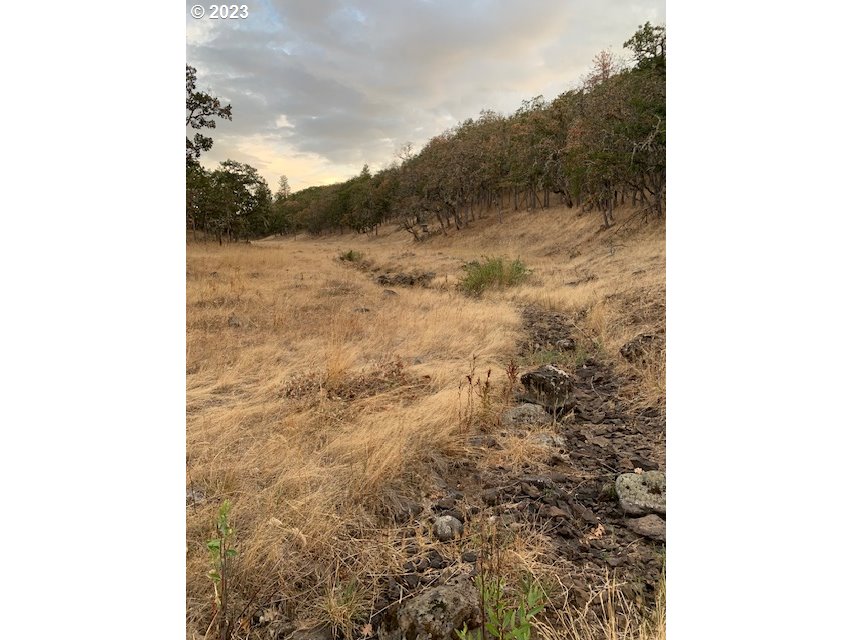 87 Black Tail Road Lyle, WA 98635 - Photo 15 of 25 Gallery Image 15