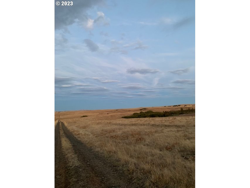 87 Black Tail Road Lyle, WA 98635 - Photo 19 of 25 Gallery Image 19