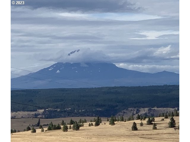 87 Black Tail Road Lyle, WA 98635 - Photo 2 of 25 Gallery Image 2
