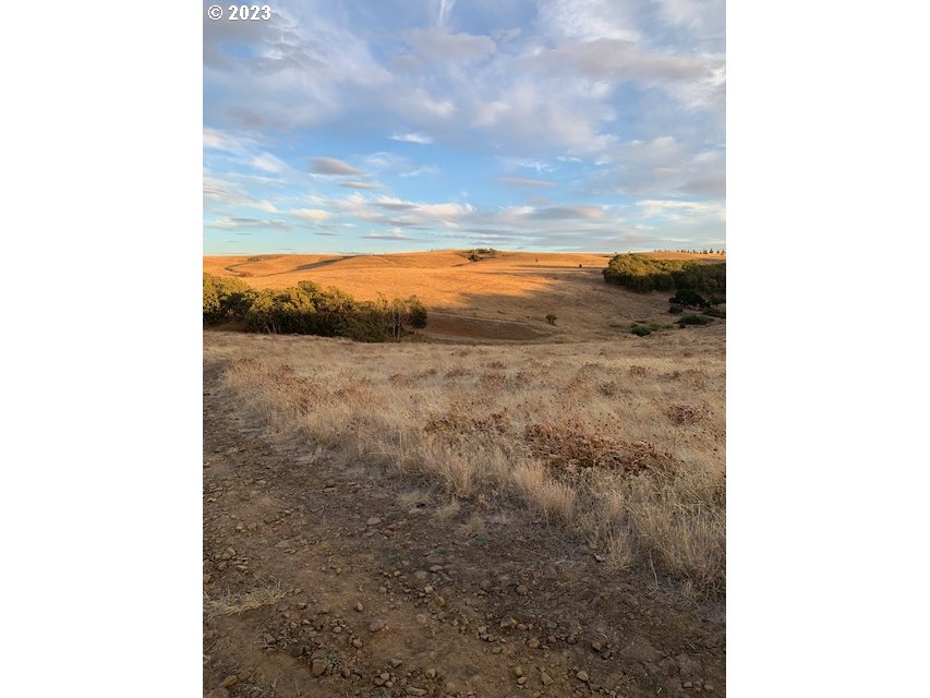 87 Black Tail Road Lyle, WA 98635 - Photo 21 of 25 Gallery Image 21