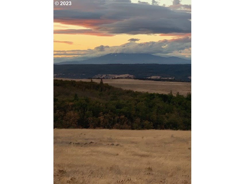 87 Black Tail Road Lyle, WA 98635 - Photo 23 of 25 Gallery Image 23
