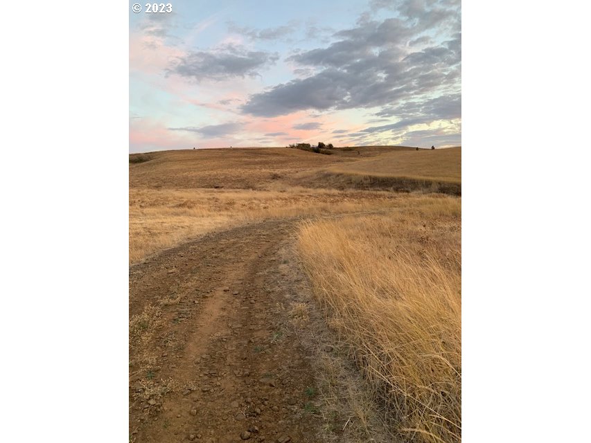 87 Black Tail Road Lyle, WA 98635 - Photo 24 of 25 Gallery Image 24