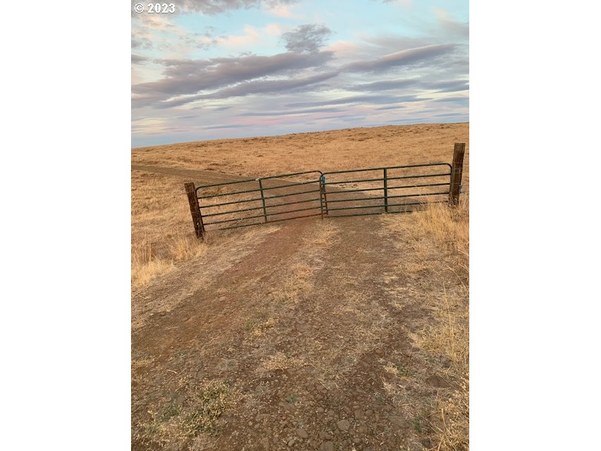 87 Black Tail Road Lyle, WA 98635 - Photo 25 of 25 Gallery Image 25