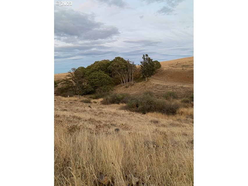 87 Black Tail Road Lyle, WA 98635 - Photo 9 of 25 Gallery Image 9