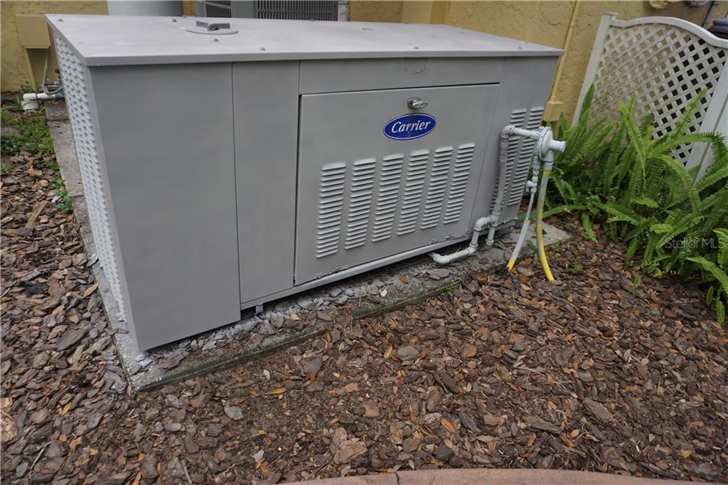 1823 South Valrico Road Valrico, FL 33596 - Photo 36 of 49 FULL House Generator!