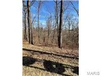 $127,280 | 0 Hwy 79 Louisiana Mo 63353, Louisiana, MO 63353