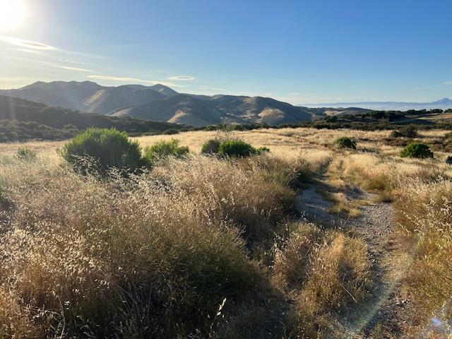 0 Pine Canyon Road King City, CA 93930 - Photo 8 of 12