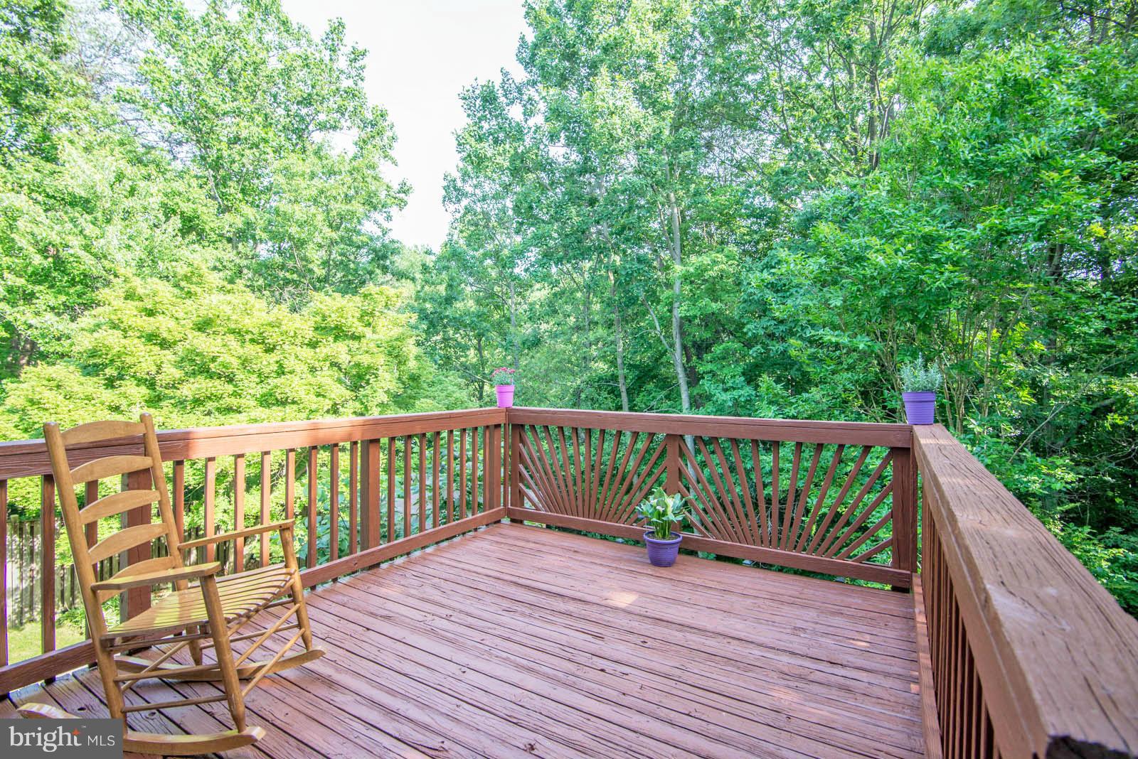 6309 Sunset Terrace Springfield, VA 22153 - Photo 11 of 29 Exterior (Rear)