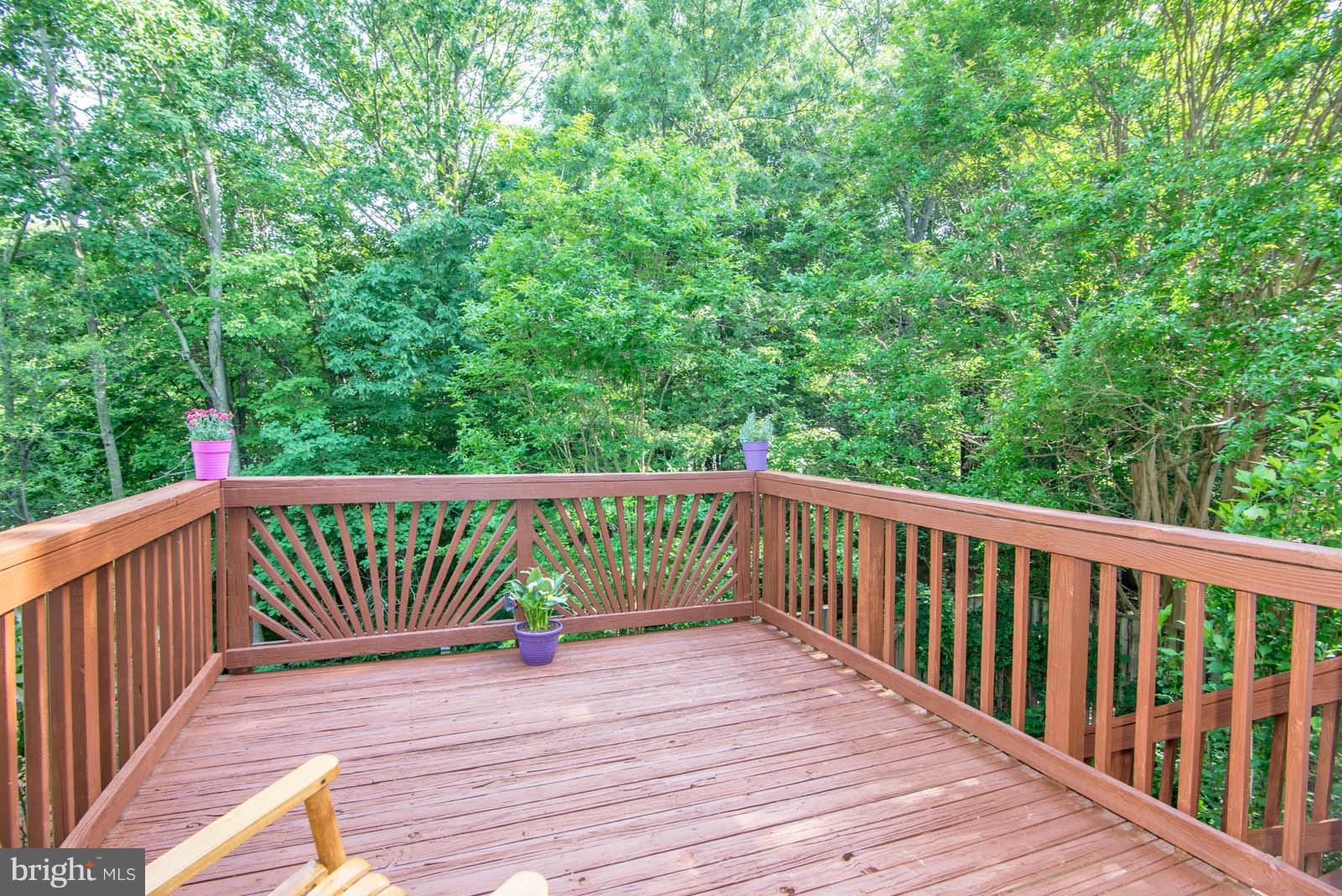 6309 Sunset Terrace Springfield, VA 22153 - Photo 10 of 29 View