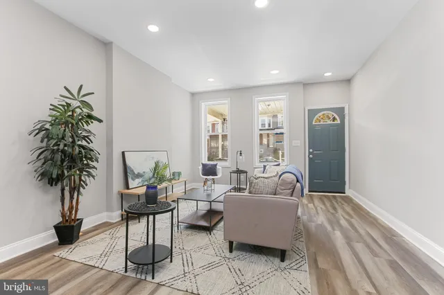 a living room with furniture and a potted plant