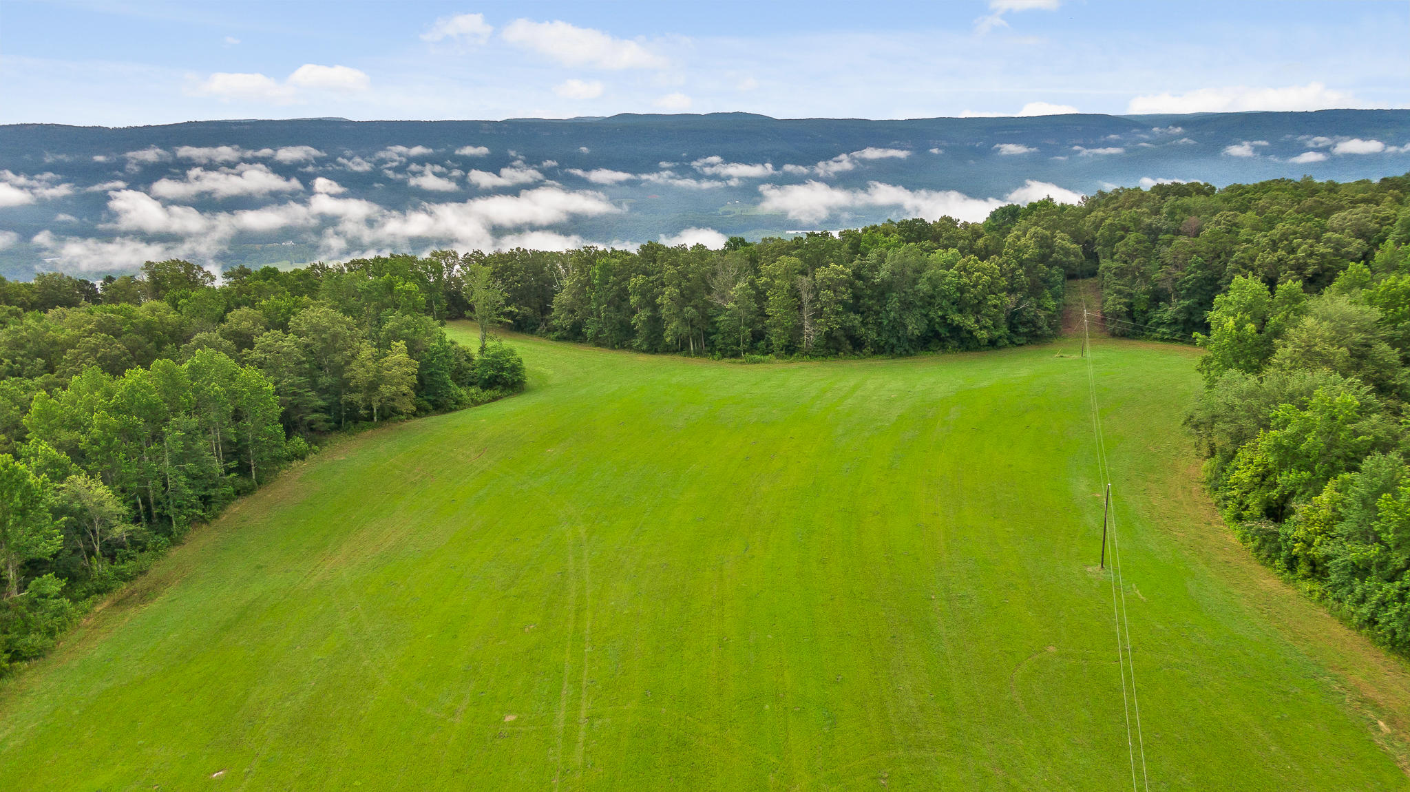 2468 Brow Road Trenton, GA 30752 - Photo 1 of 39 Brow Acreage For Sale