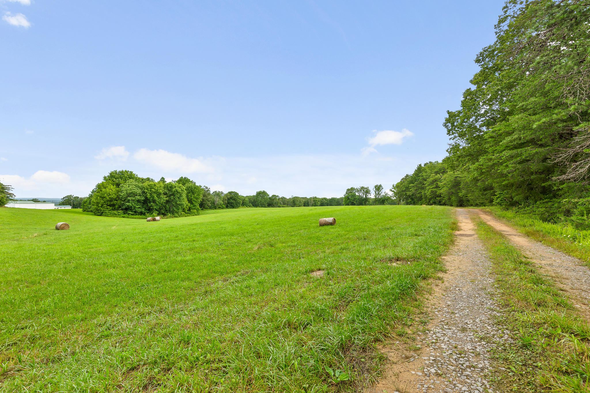 2468 Brow Road Trenton, GA 30752 - Photo 13 of 39 Brow Acreage For Sale