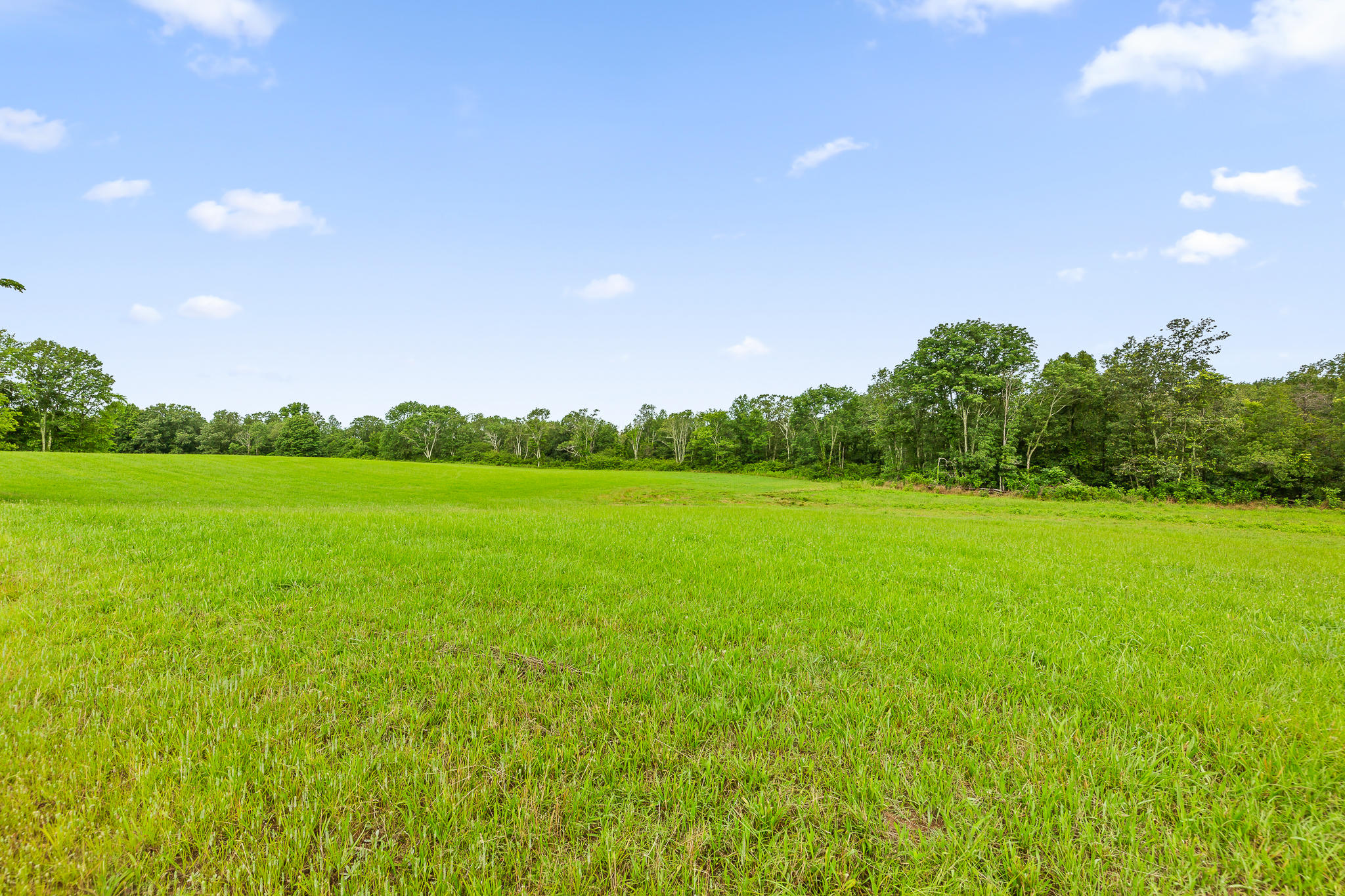 2468 Brow Road Trenton, GA 30752 - Photo 14 of 39 Brow Acreage For Sale
