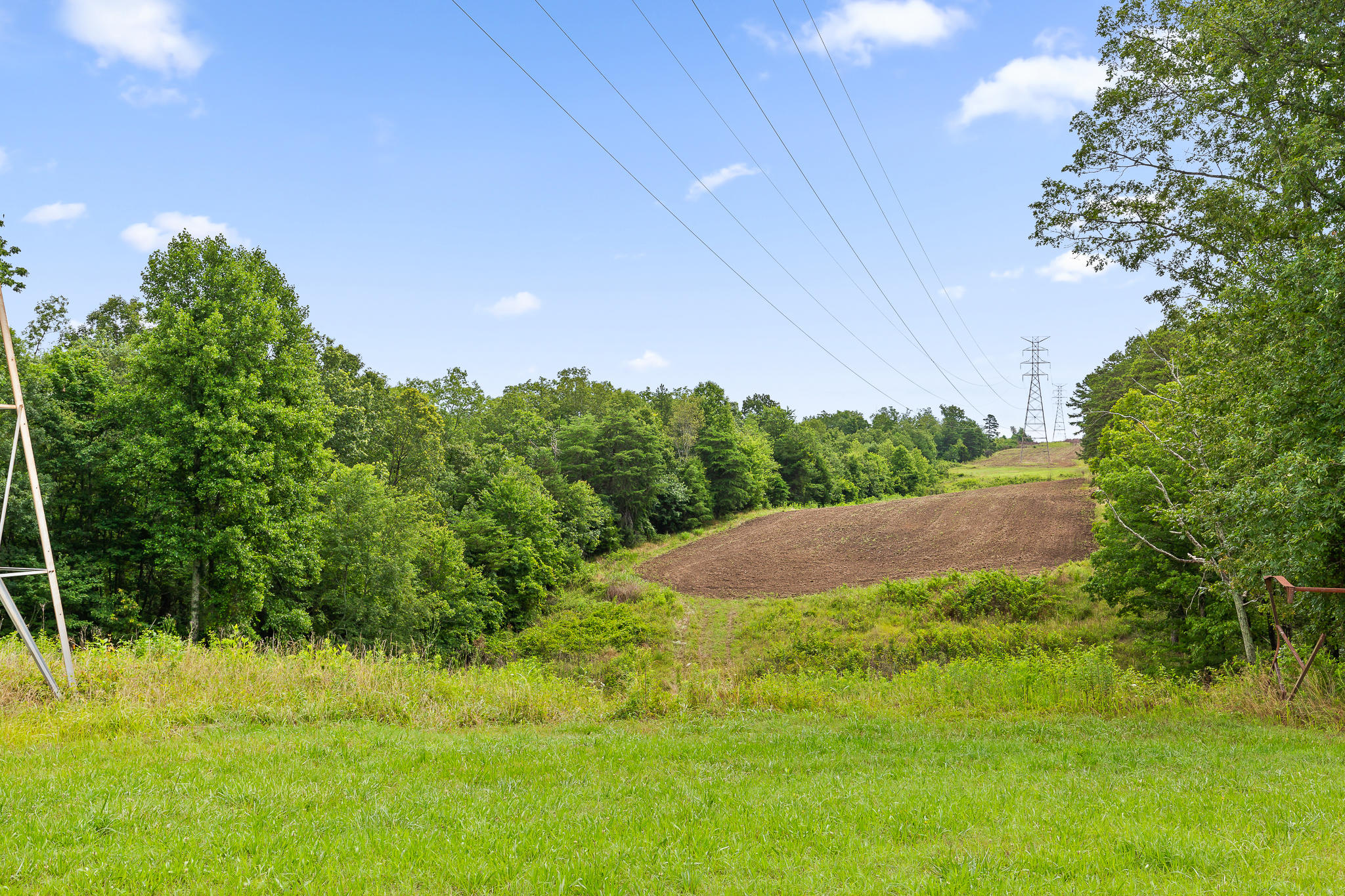 2468 Brow Road Trenton, GA 30752 - Photo 15 of 39 Brow Acreage For Sale