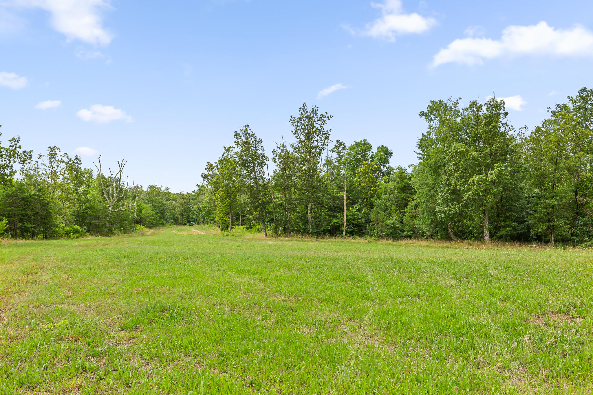 2468 Brow Road Trenton, GA 30752 - Photo 17 of 39 Brow Acreage For Sale