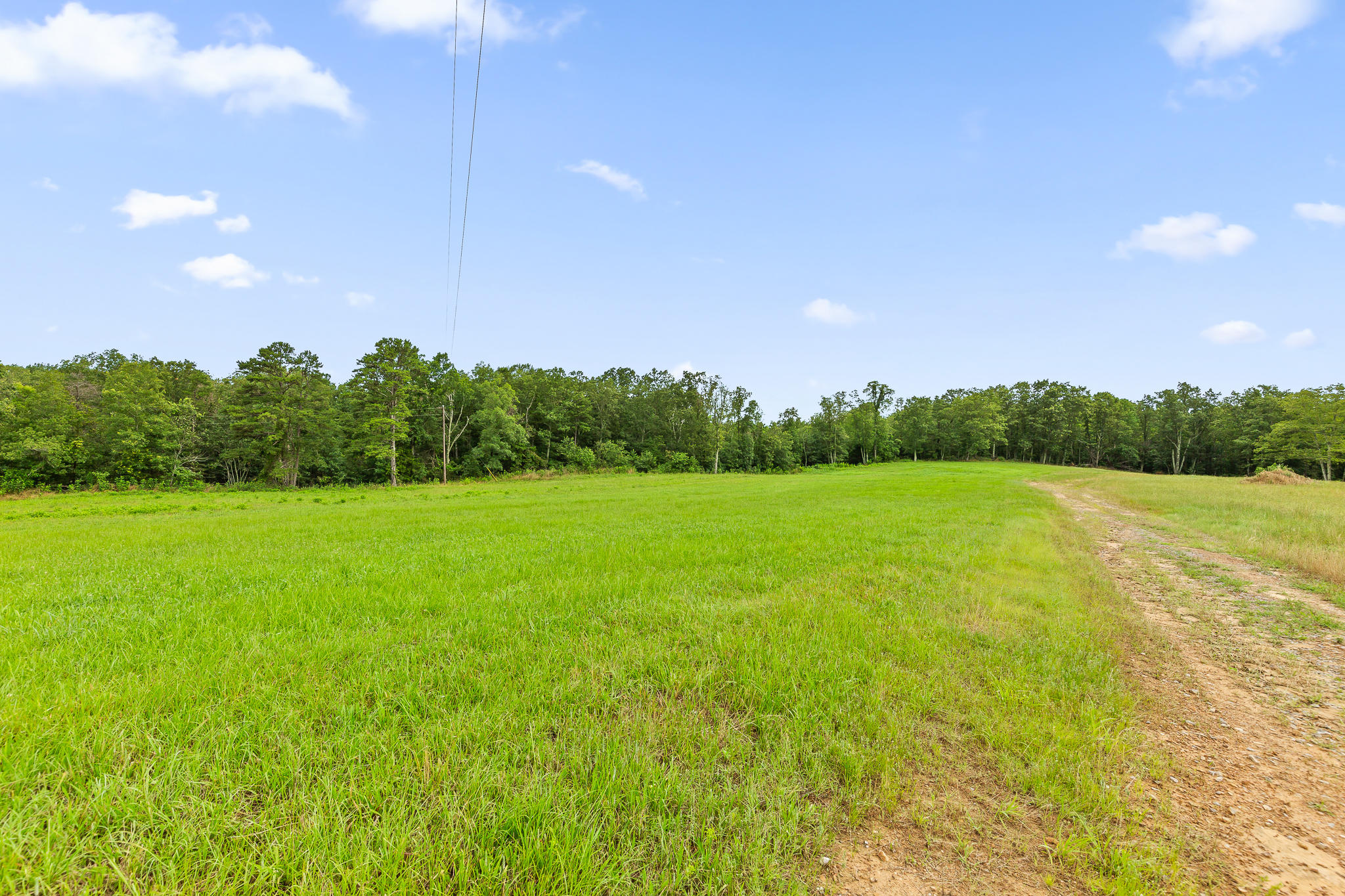2468 Brow Road Trenton, GA 30752 - Photo 18 of 39 Brow Acreage For Sale