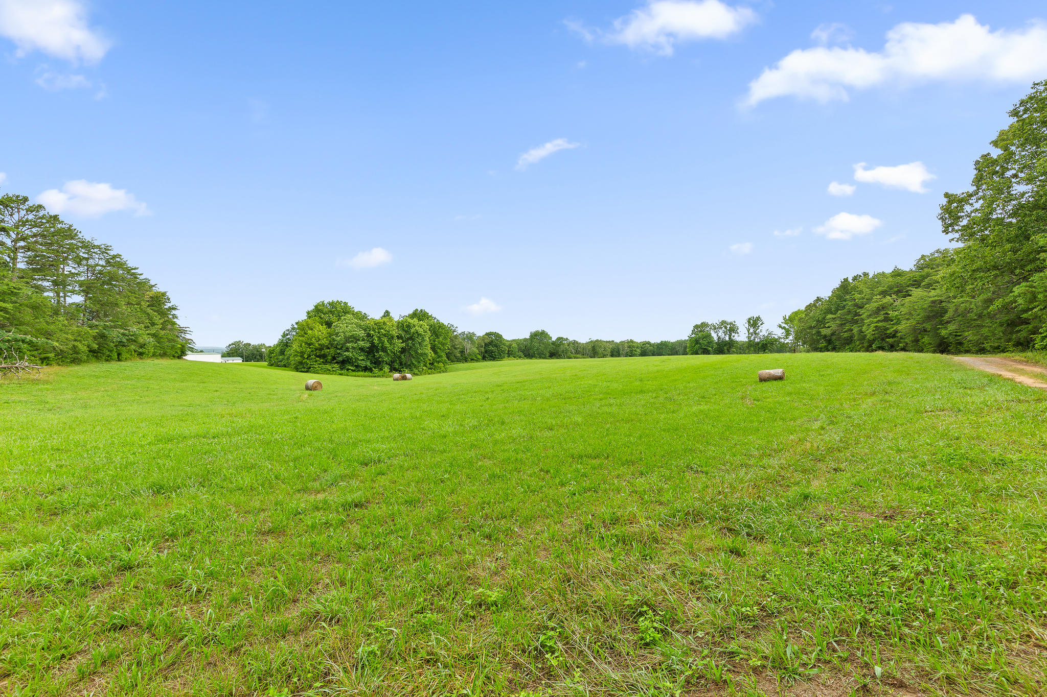 2468 Brow Road Trenton, GA 30752 - Photo 3 of 39 Brow Acreage For Sale