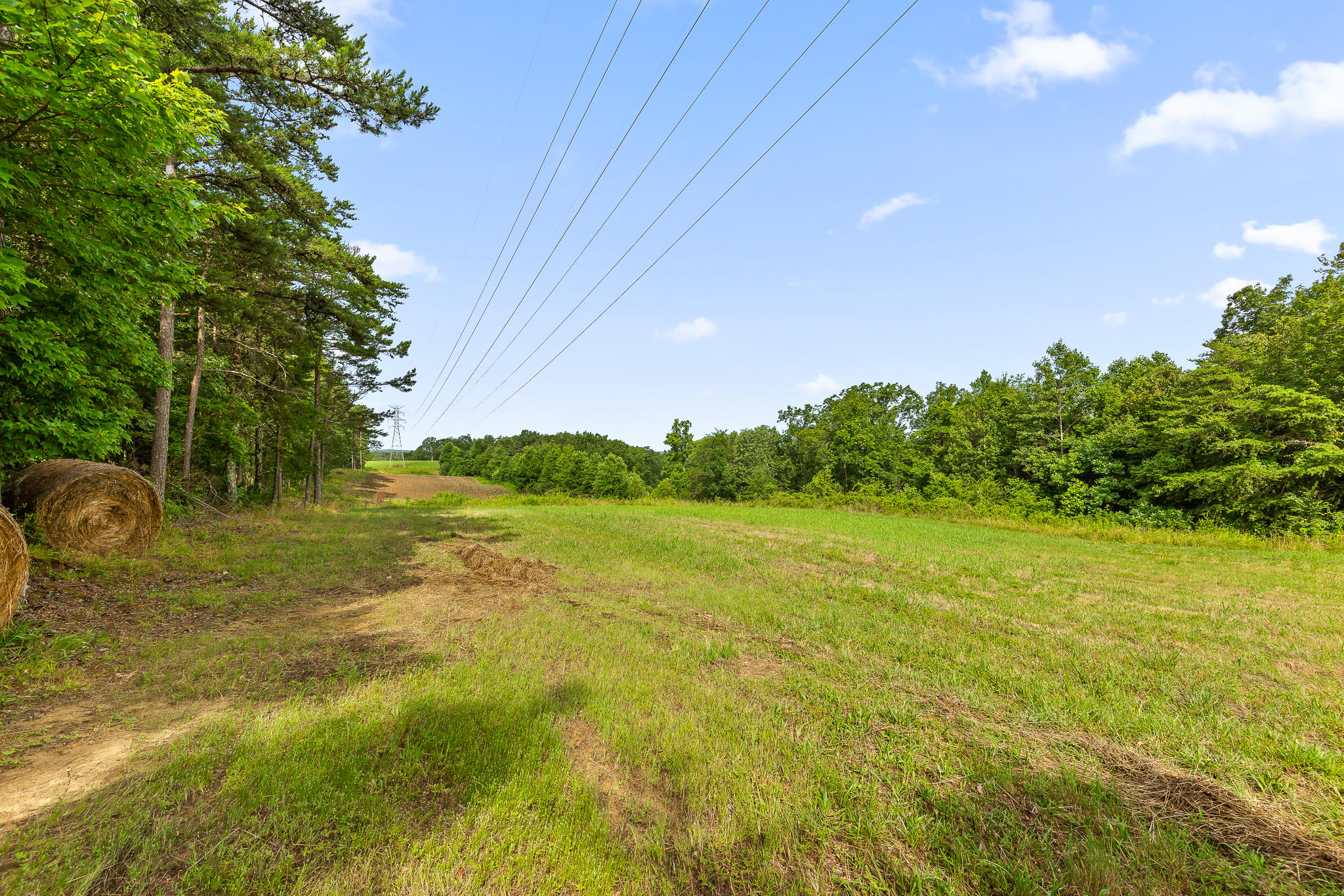 2468 Brow Road Trenton, GA 30752 - Photo 24 of 39 Brow Acreage For Sale