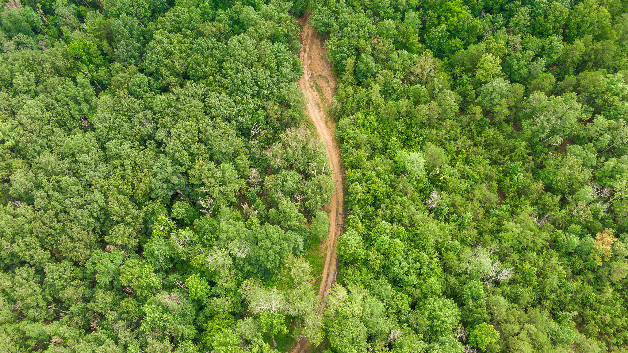 2468 Brow Road Trenton, GA 30752 - Photo 29 of 39 Brow Acreage For Sale