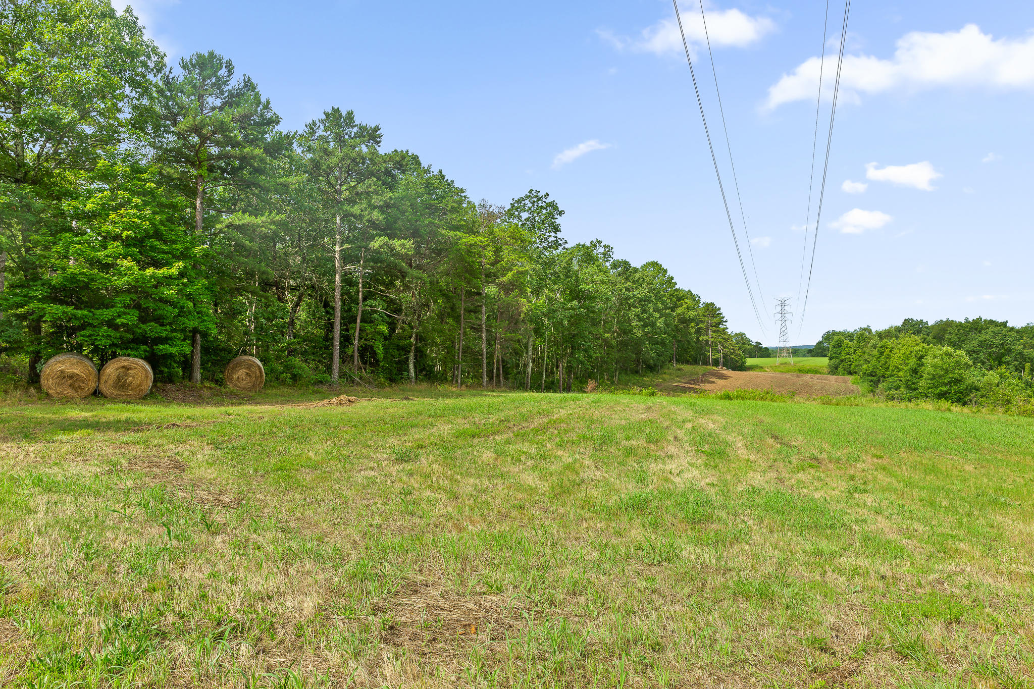 2468 Brow Road Trenton, GA 30752 - Photo 4 of 39 Brow Acreage For Sale