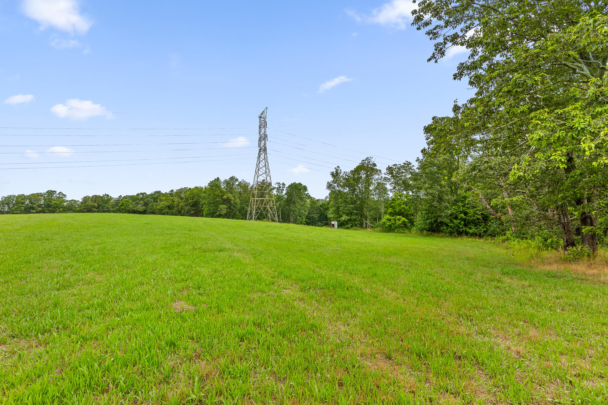 2468 Brow Road Trenton, GA 30752 - Photo 35 of 39 Pasture