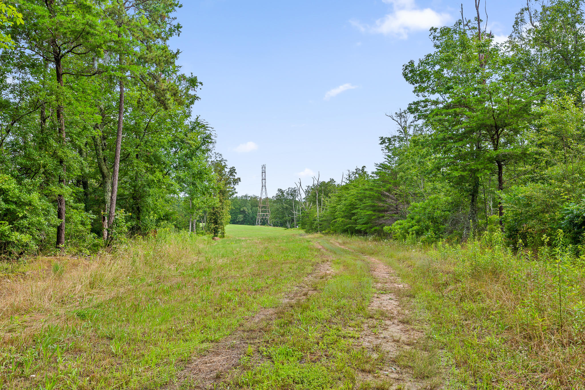 2468 Brow Road Trenton, GA 30752 - Photo 37 of 39 Brow Acreage For Sale