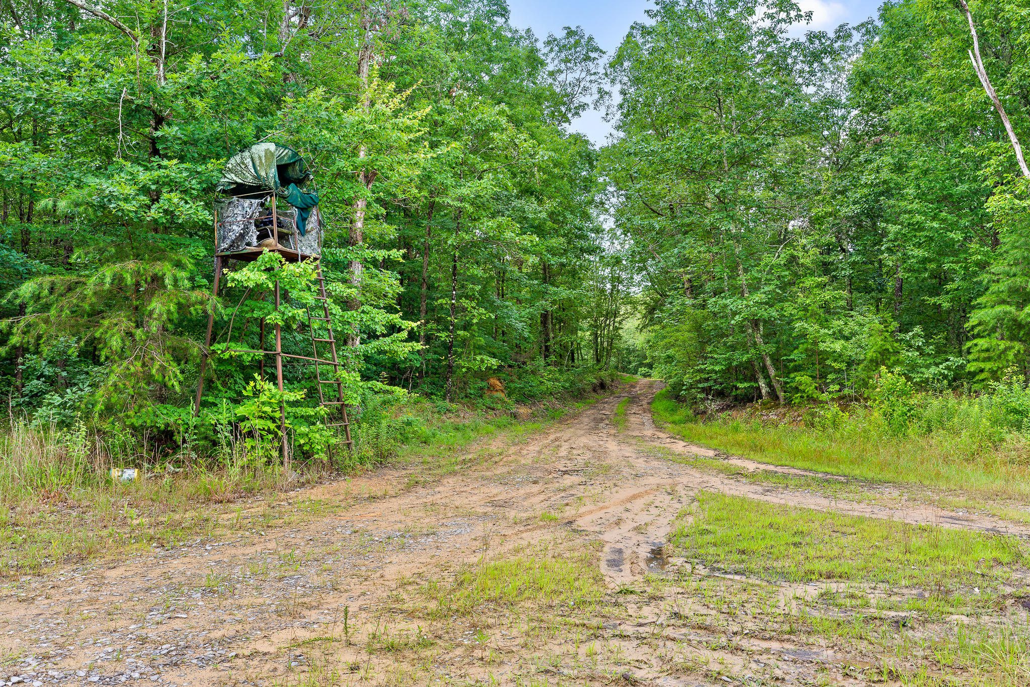 2468 Brow Road Trenton, GA 30752 - Photo 38 of 39 Brow Acreage For Sale