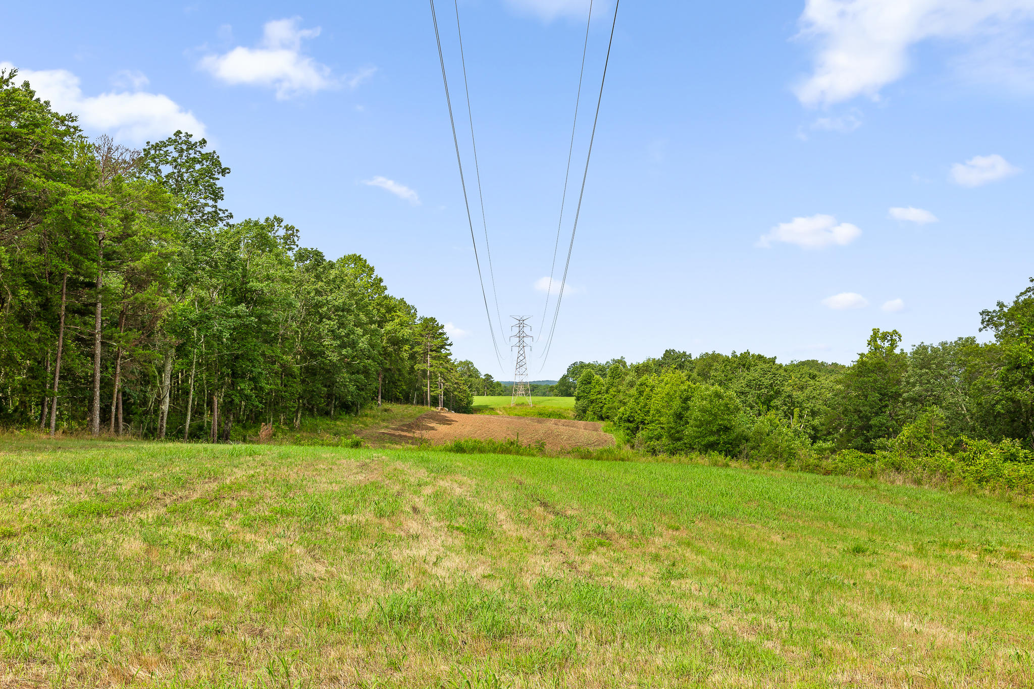 2468 Brow Road Trenton, GA 30752 - Photo 5 of 39 Brow Acreage For Sale