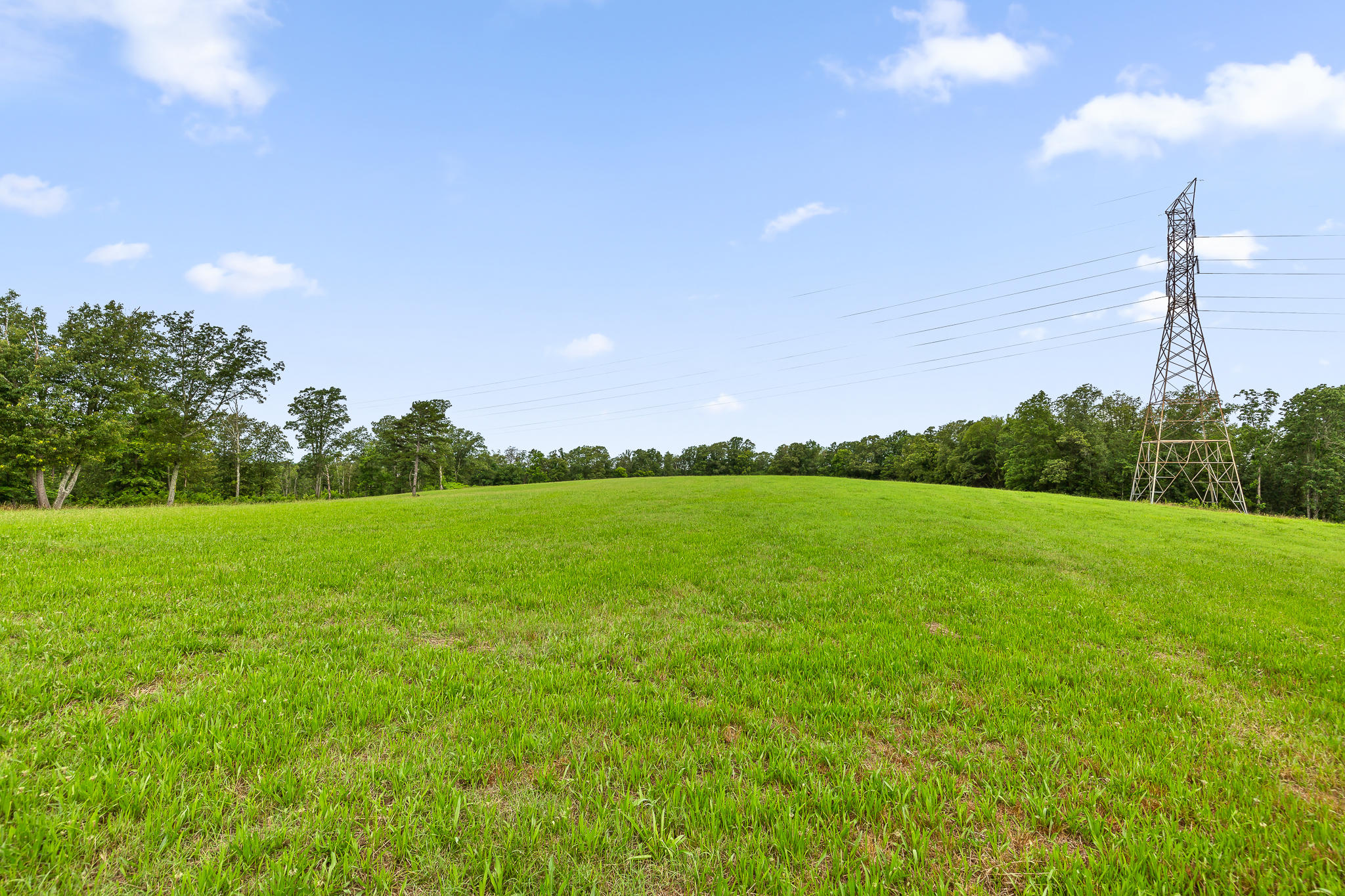 2468 Brow Road Trenton, GA 30752 - Photo 6 of 39 Brow Acreage For Sale