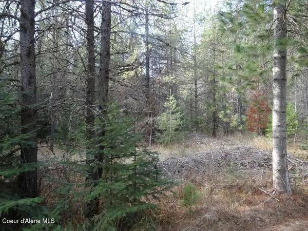 $150,000 | Nna Jasper Meadow Lane, Priest River, ID 83856