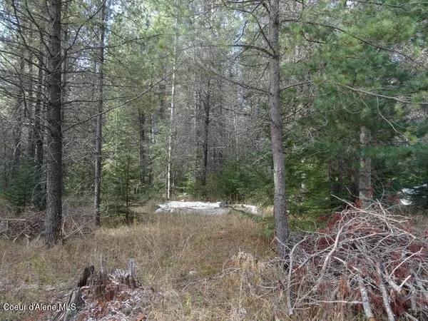 $150,000 | Nna Jasper Meadow Lane, Priest River, ID 83856