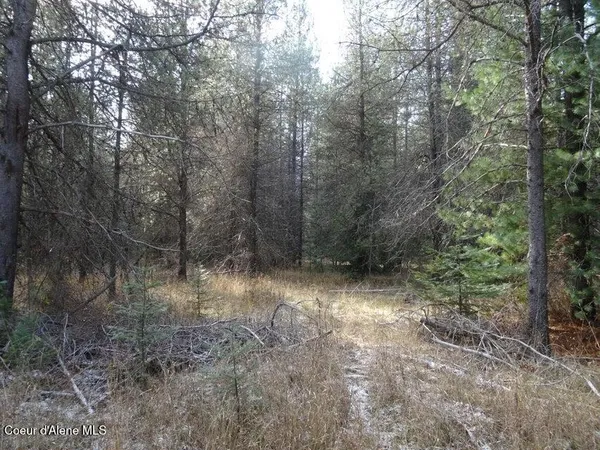 $150,000 | Nna Jasper Meadow Lane, Priest River, ID 83856