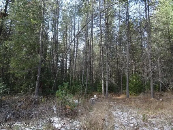 $150,000 | Nna Jasper Meadow Lane, Priest River, ID 83856