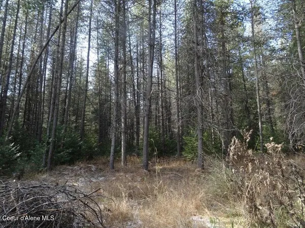 $150,000 | Nna Jasper Meadow Lane, Priest River, ID 83856
