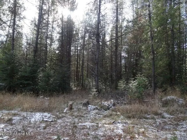 $150,000 | Nna Jasper Meadow Lane, Priest River, ID 83856