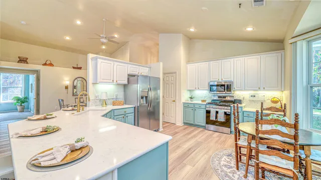 a living room with furniture and a potted plant