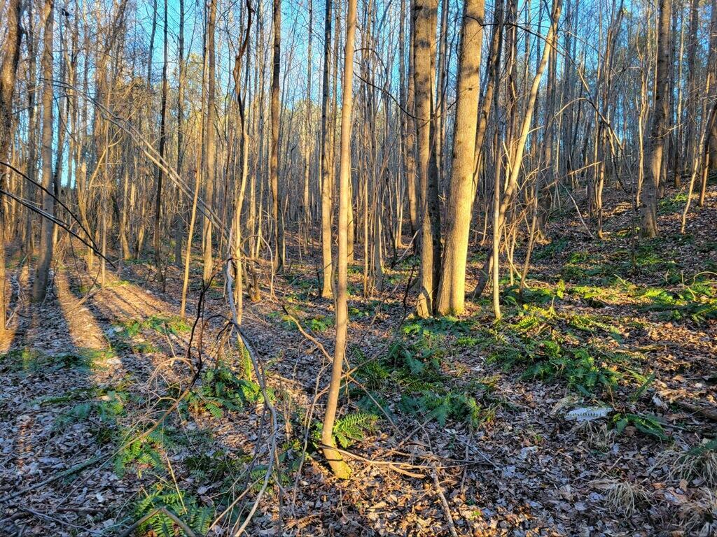0 Us-278 Addison, AL 35540 - Photo 10 of 23 Gallery Image 10