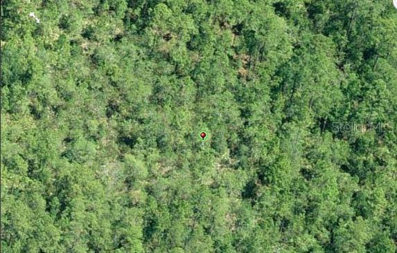 East Colonial Drive Orlando, FL 32833 - Photo 3 of 3