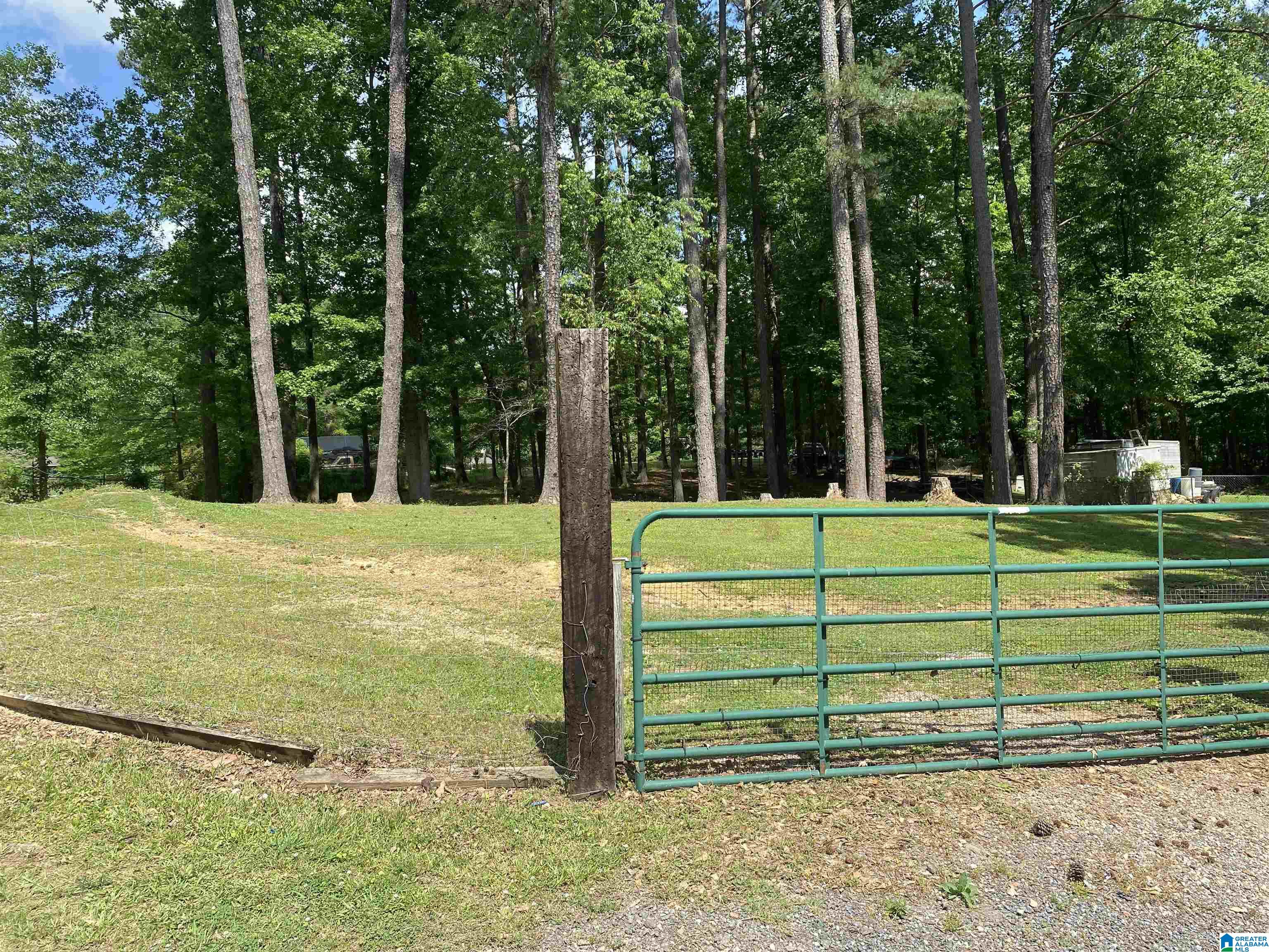 1647 Brookside Road Mount Olive, AL 35117 - Photo 5 of 16