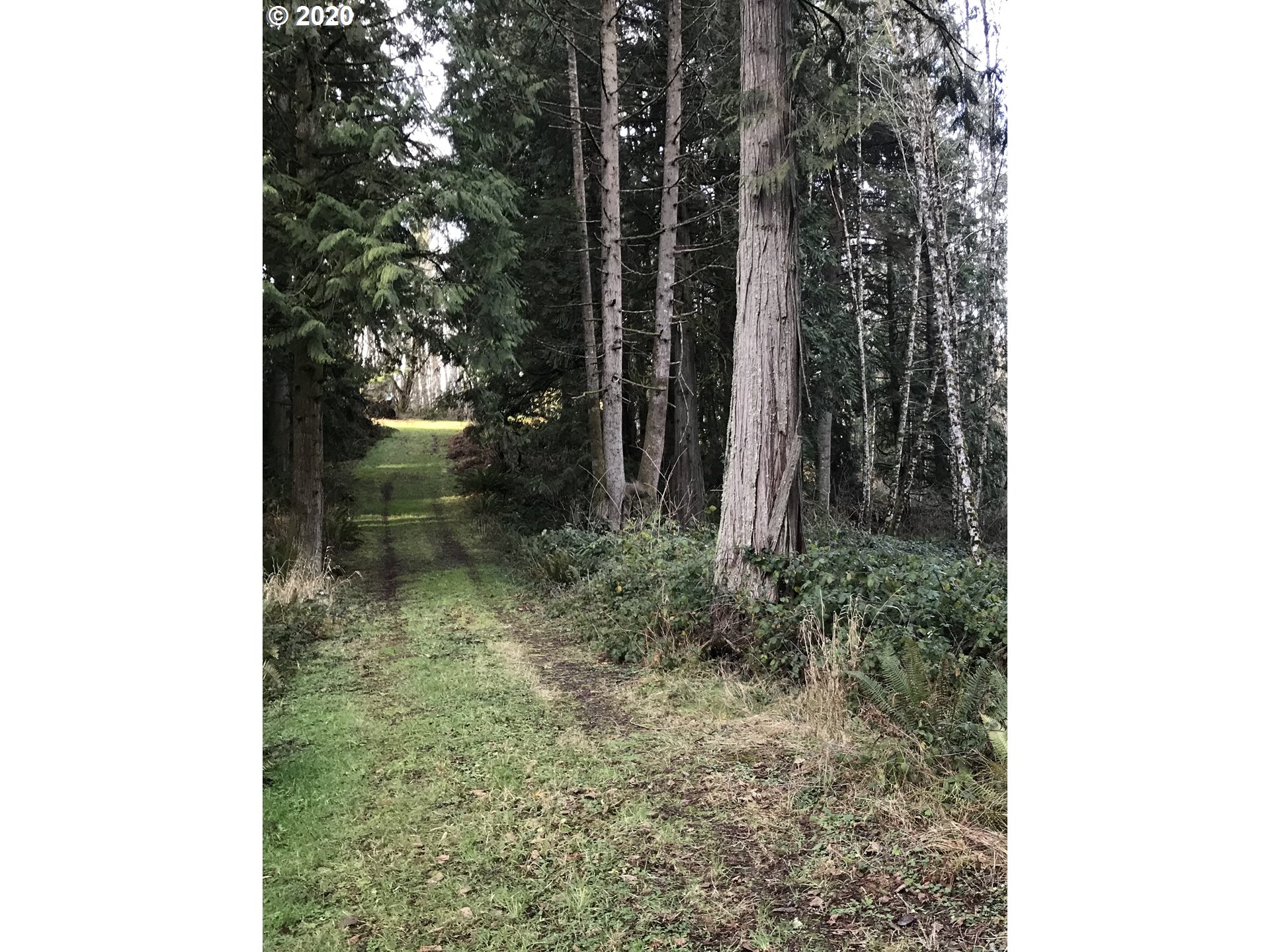 Doan Road Rainier, OR 97048 - Photo 4 of 8