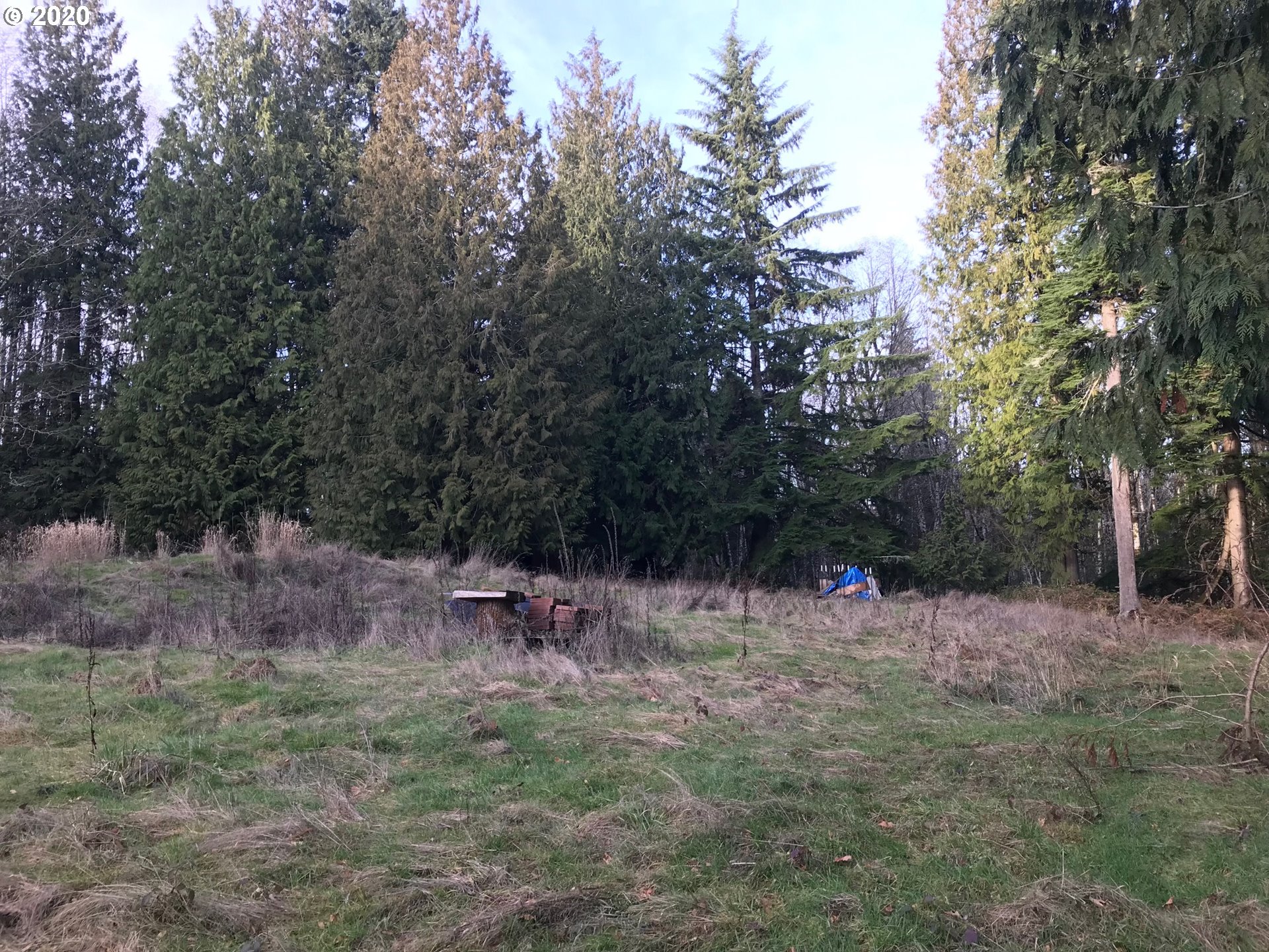 Doan Road Rainier, OR 97048 - Photo 5 of 8