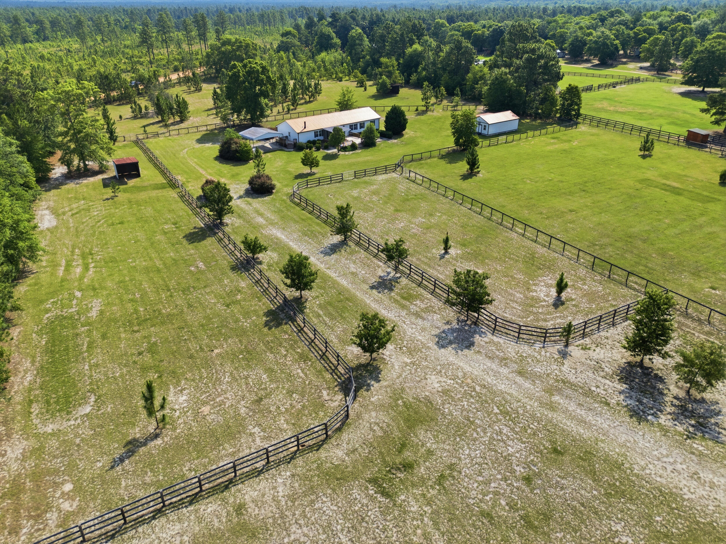 685 Centerwood Road Williston, SC 29853 - Photo 40 of 42