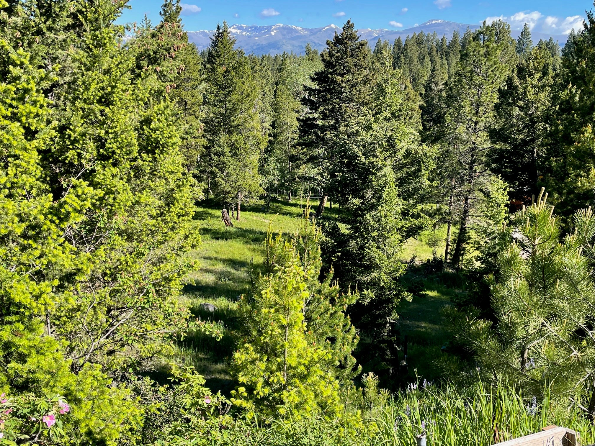 1623 Herrin Lake Road Lincoln, MT 59639 - Photo 33 of 58 Gallery Image 33