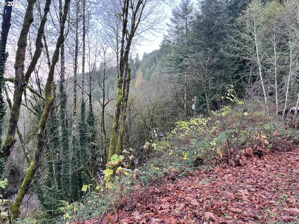 $399,900 | 11211 Highway 36, Mapleton, OR 97453